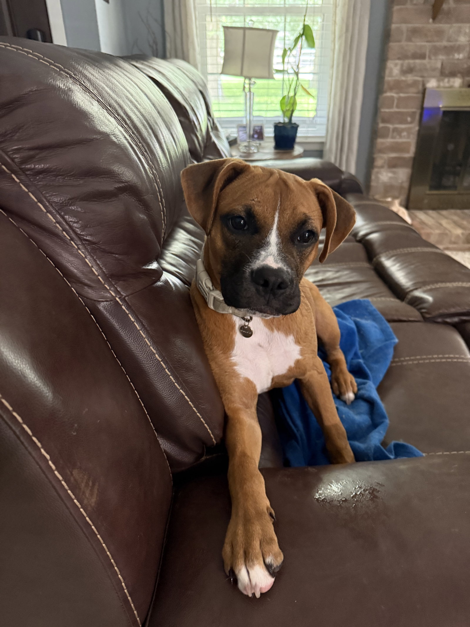 NOVA