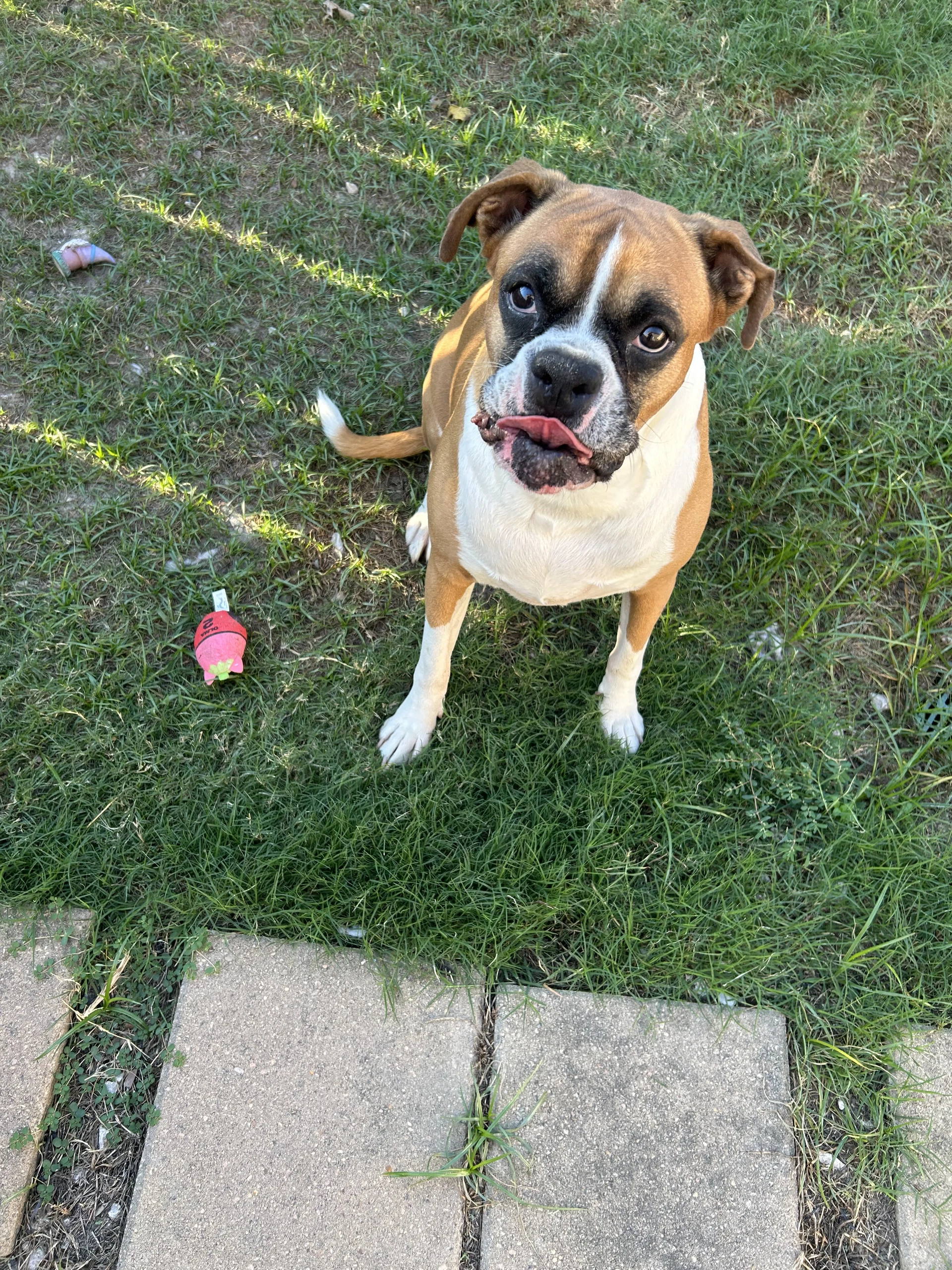 Samu