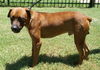 STRYKER