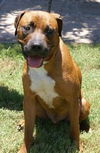 STRYKER