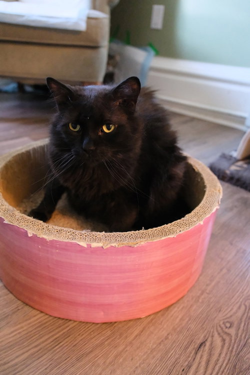 Photo of Valentino