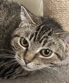 Missy - Sponsored by Jacquelina L. - Photo 2