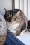 Theodore - Photo 4