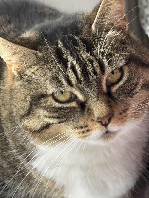 Photo of Louise - Sponsored by Eliza C.