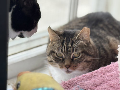 Photo of Louise - Sponsored by Eliza C.