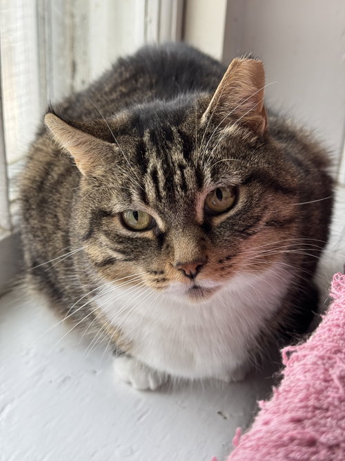 Photo of Louise - Sponsored by Eliza C.