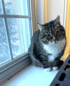 Louise - Sponsored by Eliza C. - Photo 3