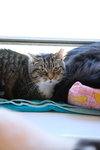 Louise - Sponsored by Eliza C. - Photo 4