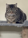 Libby - Sponsored by Lieah - Photo 2