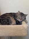 Libby - Sponsored by Lieah - Photo 3