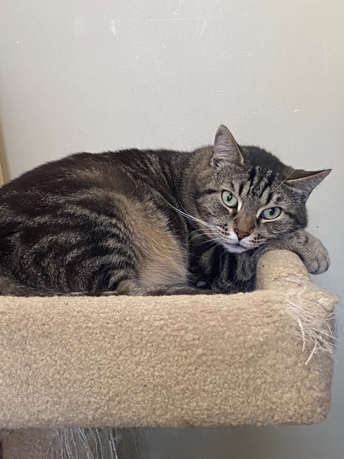 Photo of Libby - Sponsored by Lieah