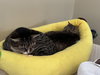 Libby - Sponsored by Lieah - Photo 4