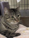 Mindy - Sponsored by Alice - Photo 4