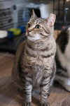 Mindy - Sponsored by Alice - Photo 2