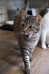Mindy - Sponsored by Alice - Photo 3