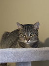 Jinx - Photo 4