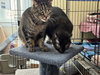 Moxie - Photo 4