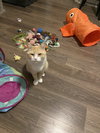 Clancy - Photo 3