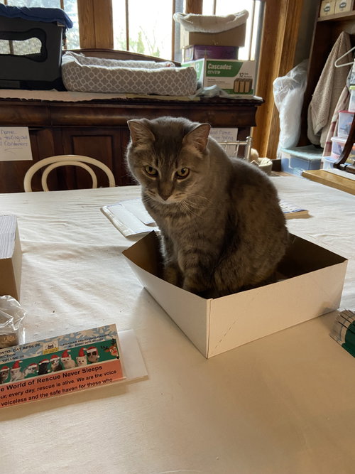 Photo of Gerti - Sponsored by Stephenie Y.
