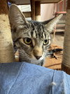 Marty - Photo 3