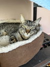 Marty - Photo 4