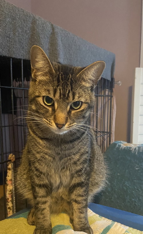 Photo of Marty