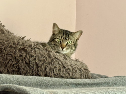 Photo of Marty