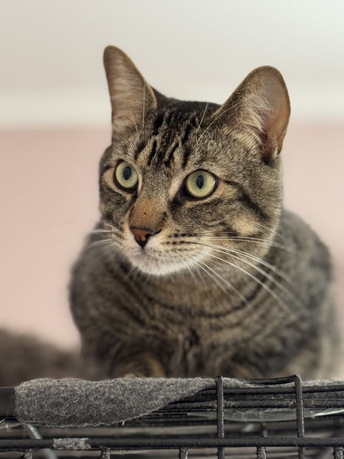 Photo of Marty