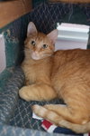 Jake - Photo 1