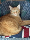 Jake - Photo 2