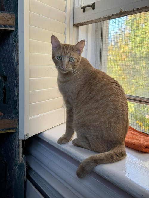 Photo of Jake