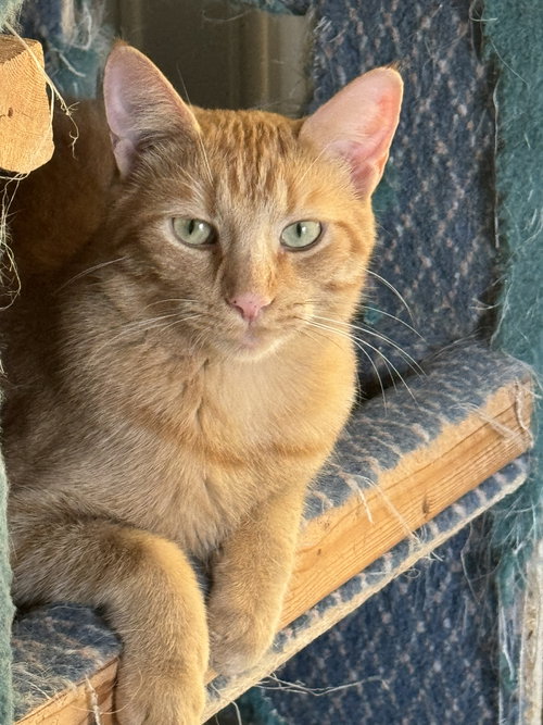 Photo of Jake