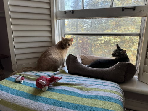 Photo of Jake