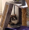 Sweet Pea - Photo 1