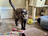 COMING SOON - Miss Marbles - Photo 2