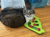 Zoey - Photo 3