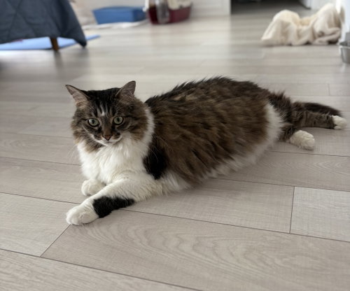 Photo of Zoey - Sponsored by Zoey L.