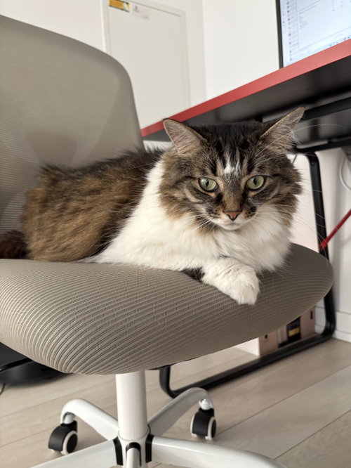 Photo of Zoey - Sponsored by Zoey L.