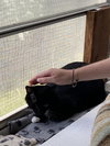 Ellie - Photo 3