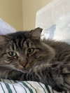 Bailey - Photo 2
