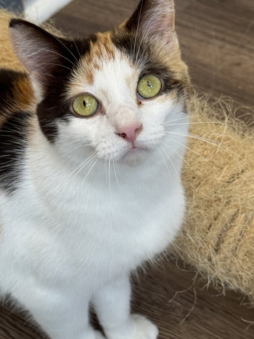 Photo of Francesca