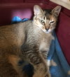 Jilly - Photo 4