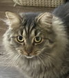 Gabby - Photo 1