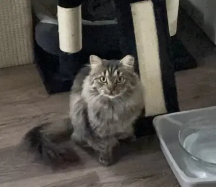 Gabby image 3