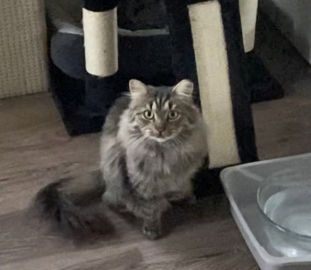 Photo of Gabby