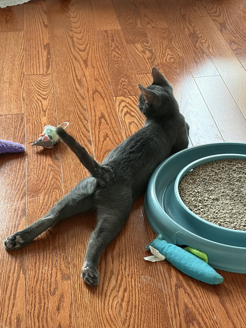 Photo of Happy