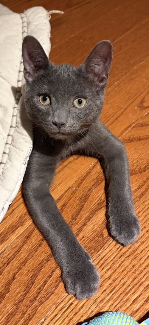 Photo of Happy