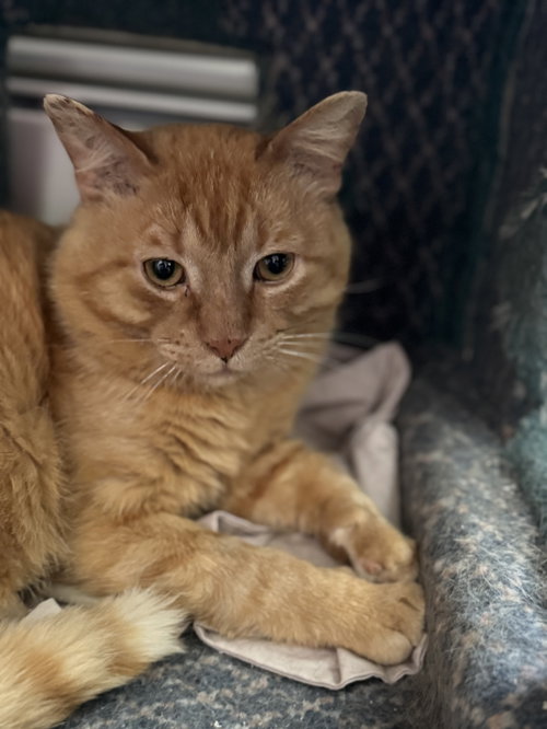 Photo of Sundance