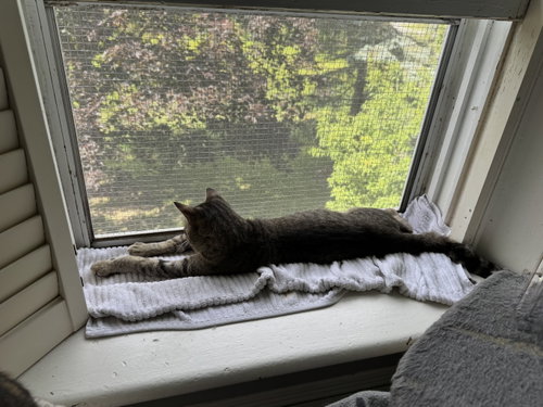 Photo of Moe