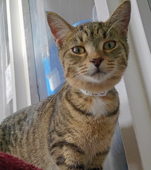 Photo of Roo